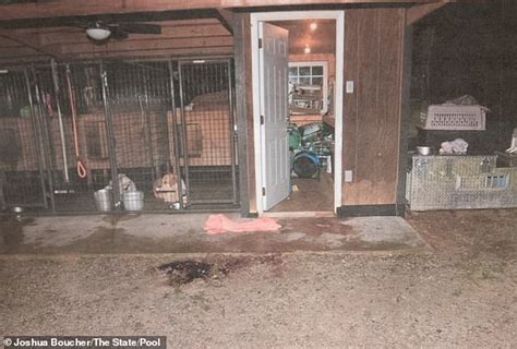 pictures of the murdaugh crime scene|Chilling photos reveal bloody crime scene where Maggie and Paul ...